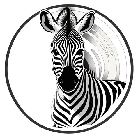 Image result for Zebra Program