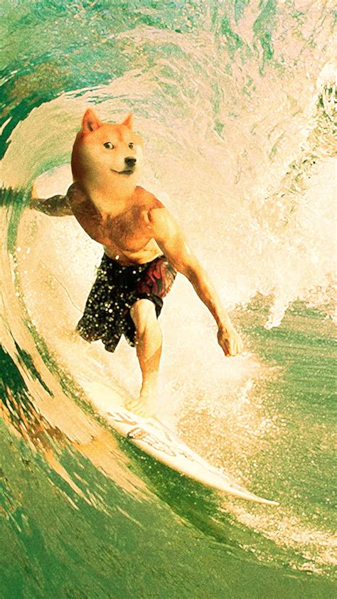 Download Doge Surfer Wallpaper | Wallpapers.com