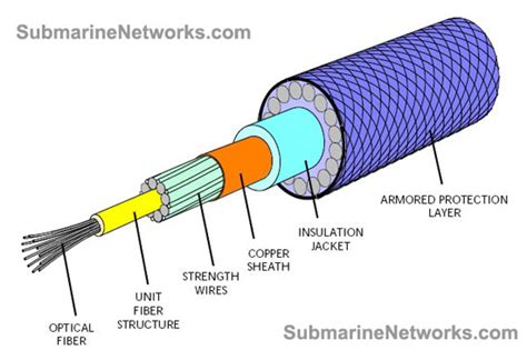 Image result for 1-Wire O2 Sensor Test