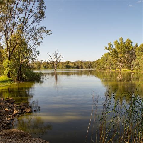 WONGA WETLANDS (2026) All You Need to Know BEFORE You Go (with Photos ...