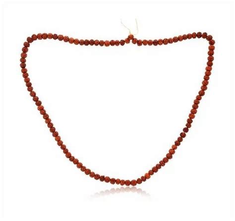 Rudraksha Beads and Malas - Kesar Zems Natural Two face Rudraksh with ...