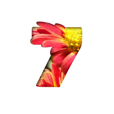 Number seven shape with chrysanthemum flowers cut out of white ...