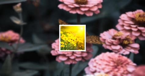 Bratley Funeral Home | Recent Obituaries | Washburn, Wisconsin | Who ...