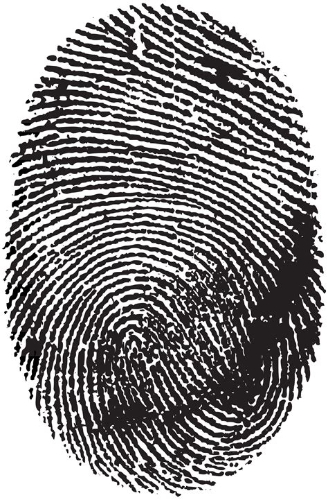 Free Fingerprint Clipart, Download Free Fingerprint Clipart png images ...