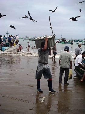 Learn perfect Spanish on the Internet - Puerto López Spanish classes on ...