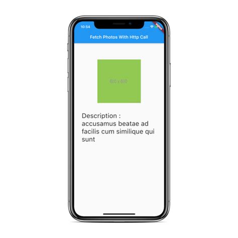 HTTP Flutter 的图像结果