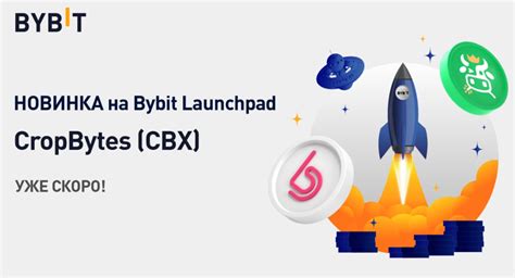 Launchpad от биржи Bybit. — Teletype