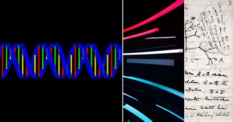 Genomic Data Science and Ml Tutorials 的图像结果