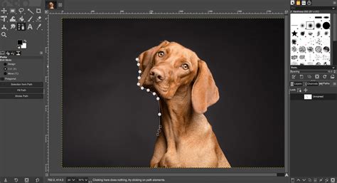 Image result for GIMP Selection Tool Tutorial