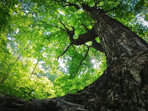 Seven Mile Creek County Park — Southern Minnesota Guy