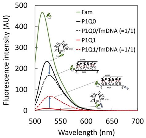 Processes | Special Issue : The Amazing World of Peptide Engineering