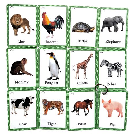 Talking Flashcards Animals at Ruth Sapp blog