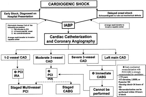 Cardiogenic Shock Complicating Acute Myocardial Infarction | Circulation