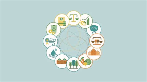 RSB Principles & Criteria v4: Explore the new and improved format of our flagship document – RSB