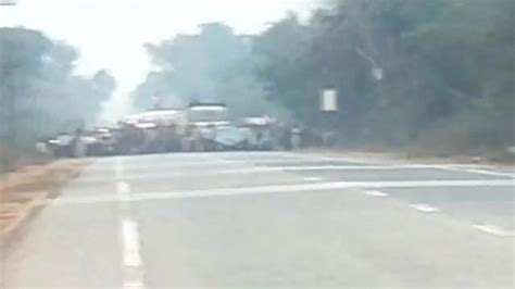 Traffic comes to a halt in Tadoba as tiger family crosses road, forest ...