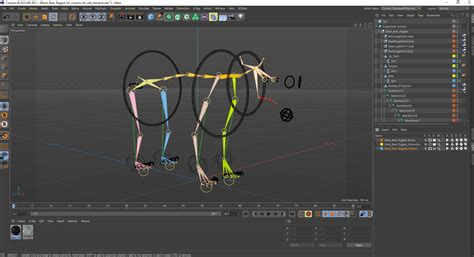 3D Black Bear Rigged for Cinema 4D | 3D Molier International