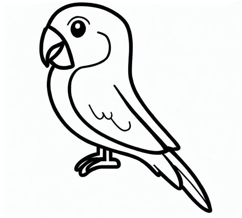 Image result for Bird Simple Parrot Image