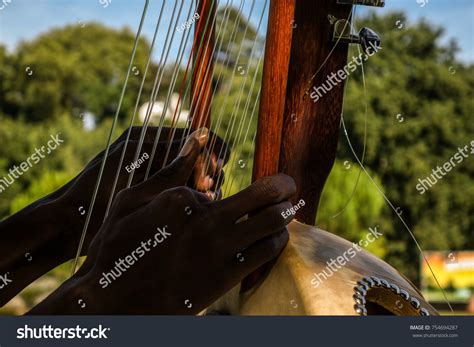 Image result for African String Instruments