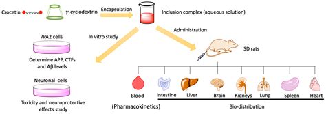Cyclodextrin-Containing Drug Delivery Systems and Their Applications in ...