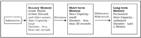 Human Memory Class 11 Psychology