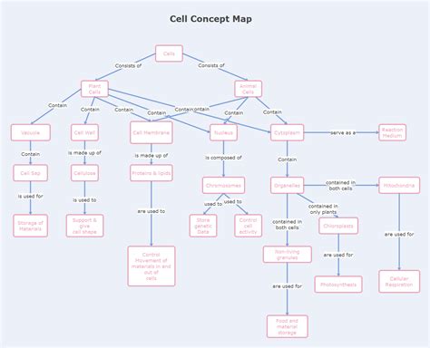 Cell Cycle Concept Map Biology 的图像结果