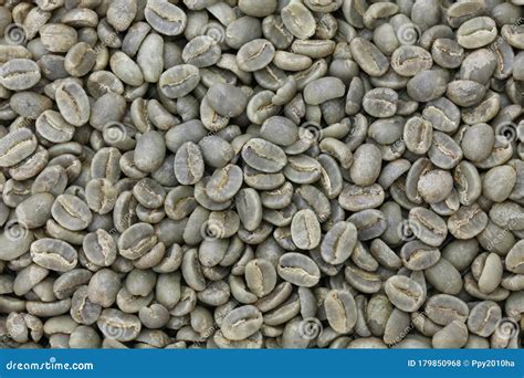 Green Unroasted Coffee Beans Stock Photo - Image of green, organic ...