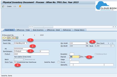 SAP EWM: Phy.Inv On Finding Missing HU In Warehouse