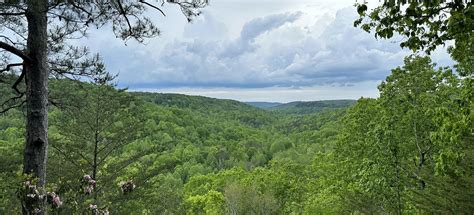 Cane Creek Canyon Nature Preserve, Alabama - 532 Reviews, Map | AllTrails
