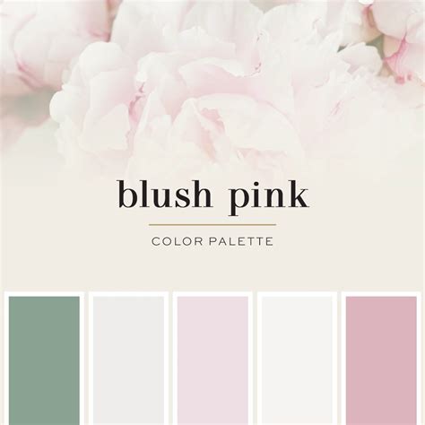 Blush Pink Color Palette Color Of Pink Rose | Color Palette Ideas