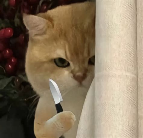 Funny Cat Meme - Orange Cat with Knife