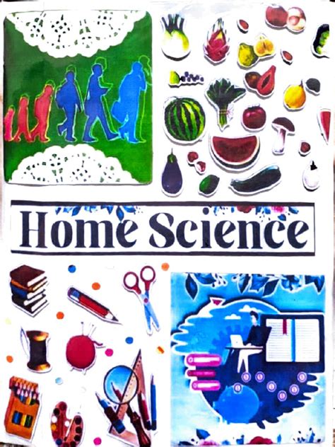 Home Science Project Class 12 的图像结果