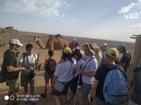 MAROCCOTOUR (2025) All You Need to Know BEFORE You Go (with Photos ...