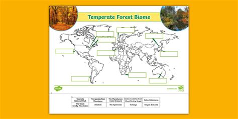 Image result for Tools Equpment in Computer Programming