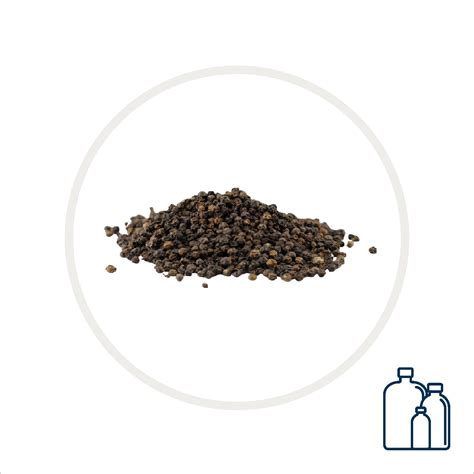 Black Pepper Oil – ROSEVILLE