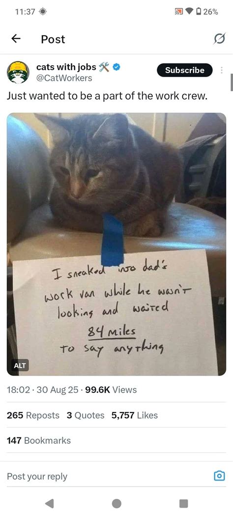 X (Twitter) 11.75.1 - Скачать для Android APK бесплатно