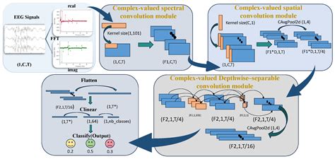 CV-EEGNet: A Compact Complex-Valued Convolutional Network for End-to ...