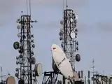Telecom News - Telecom - Industry - The Economic Times