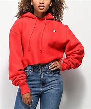 Image result for Grey Champion Cropped Hoodie