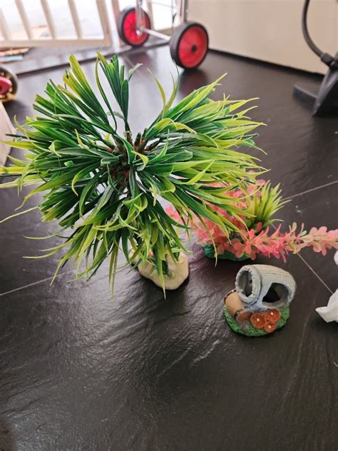 Image result for Fish Tank Pebbles