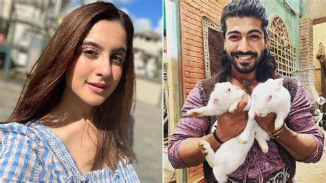 Sheezan Khan is suicide prone after Tunisha Sharma's death, lawyer ...