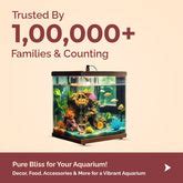 All Types of Aquarium and Pet Supplies – PetzLifeWorld
