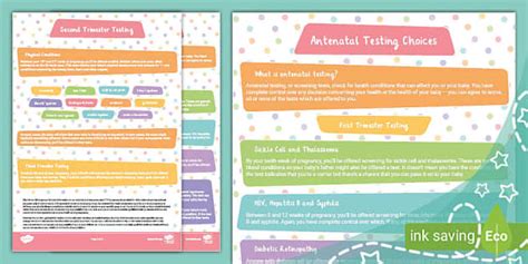 Antenatal Testing Choices (teacher made) - Twinkl