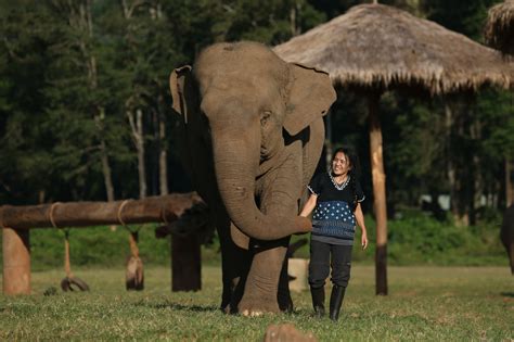 No-Trade No Killing 的图像结果