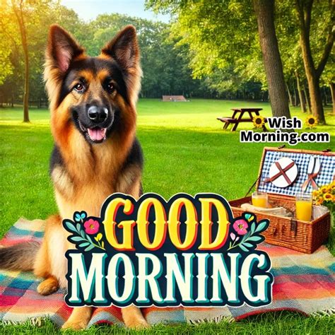 Good Morning Dog Images for a Joyful Start - Wish Morning