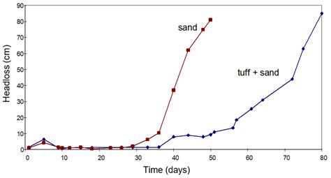 Climbing the Effluent Filtration Tree: Modelling, Mechanisms ...