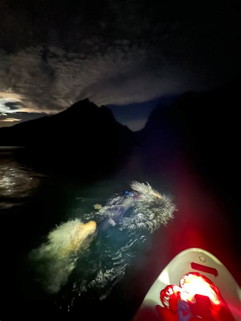 Record-Setting Grand Teton Picnic - Jackson Hole Mountain Resort