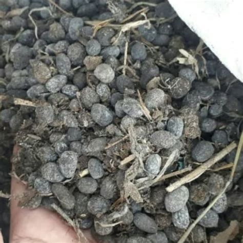 Jual pupuk kohe kambing//kotoran kambing karungan - Kota Depok - Rimbun ...