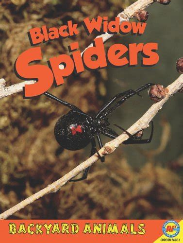 Black Widow Spiders (Backyard Animals) : Kopp, Megan: Amazon.in: Books