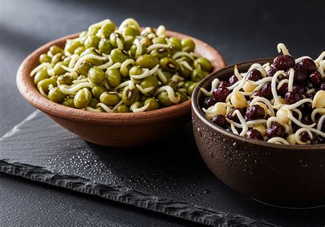 Weight loss after 40 in India: why protein becomes critical – Rebalance ...