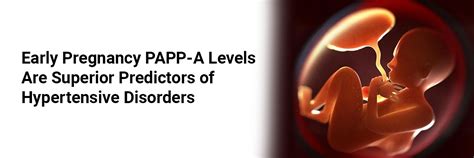 Early Pregnancy PAPP-A Levels Are Superior Predictors of Hypertensive ...